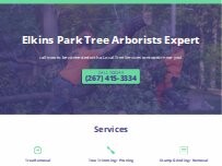 Website Screenshot Elkins Park Tree Arborists Expert