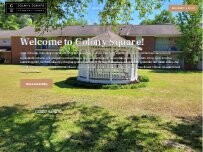 Website Screenshot Colony Square Apartment Homes
