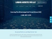 Website Screenshot Liquid Assets MS LLC