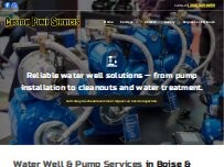 Website Screenshot Custom Pump Services