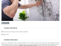 Website Screenshot Winter Haven Mold Remediation