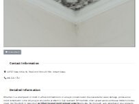 Website Screenshot Mold Remediation Rockford