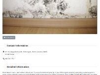 Website Screenshot Mold Remediation Wilmington