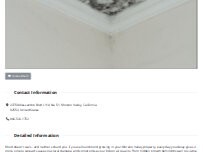 Website Screenshot Mold Removal Moreno Valley