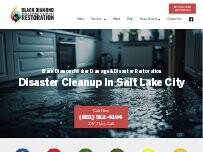Website Screenshot Black Diamond Water Damage & Flood Disaster Restoration