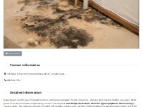 Website Screenshot Portland Mold Removal Services