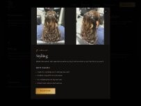 Website Screenshot Hill Top Salon & Barber Hesperia