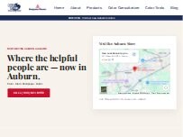Website Screenshot New Look Decorating Auburn