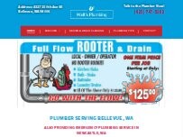 Website Screenshot Walt's Plumbing