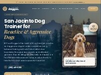 Website Screenshot Good Doggos