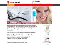 Website Screenshot DDSI