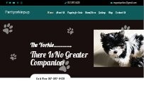 Website Screenshot My Parti Yorkies Texas