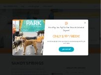 Website Dogtopia of Sandy Springs