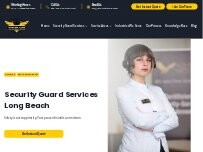 Website VP Security