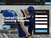 Website Screenshot Clearview Carpet Solutions