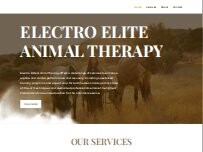 Website Screenshot Electro-Elite Animal Therapy