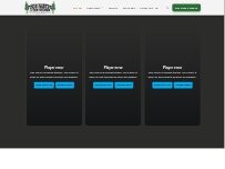 Website Screenshot Pinon Painting