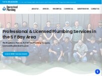 Website Screenshot Guaranteed Plumbing