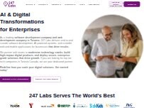 Website Screenshot 247 Labs