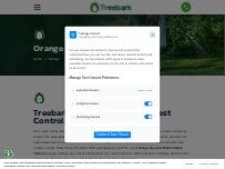 Website Screenshot Treebark Termite and Pest Control