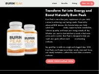 Website Burn Peak