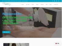 Website Premier Vascular Centers