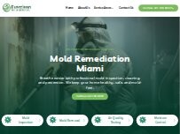 Website Everclean Mold Removal Of Miami