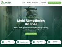 Website Everclean Mold Removal Of Orlando