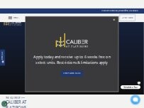 Website Screenshot Caliber at Flatirons