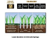 Website Colorado Lawn Guys