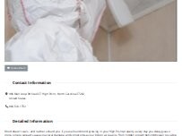 Website Screenshot Mold Remediation High Point