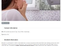 Website Screenshot Mold Remediation Tyler
