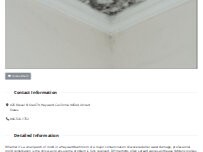 Website Screenshot Mold Remediation Hayward