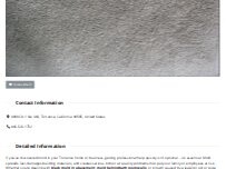 Website Screenshot Mold Remediation Torrance