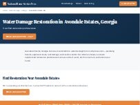 Website Screenshot National Water Damage Restoration Avondale Estates