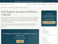 Website Screenshot Dual Diagnosis Treatment Bellflower