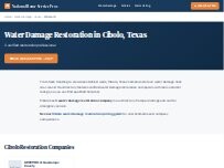 Website Screenshot National Water Damage Restoration Cibolo