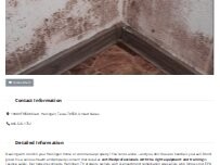 Website Screenshot Mold Remediation Harlingen