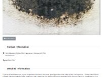Website Screenshot Mold Remediation Hagerstown