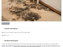 Website Screenshot Mold Remediation Odessa