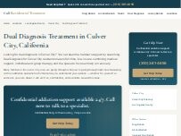 Website Screenshot Dual Diagnosis Treatment Culver City