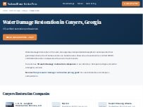 Website Screenshot National Water Damage Restoration Conyers