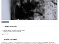 Website Screenshot Mold Remediation Rancho Cucamonga