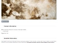 Website Screenshot Mold Remediation Vancouver