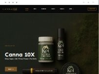 Website Screenshot Canna 10x