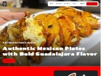 Website Screenshot El Burro Veloz