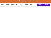 Website Screenshot Caliber Collision