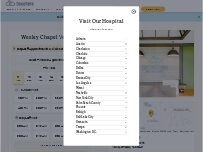 Website Screenshot GoodVets Wesley Chapel