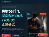 Website Vice Restoration