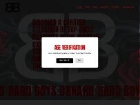 Website Screenshot Bard Boys